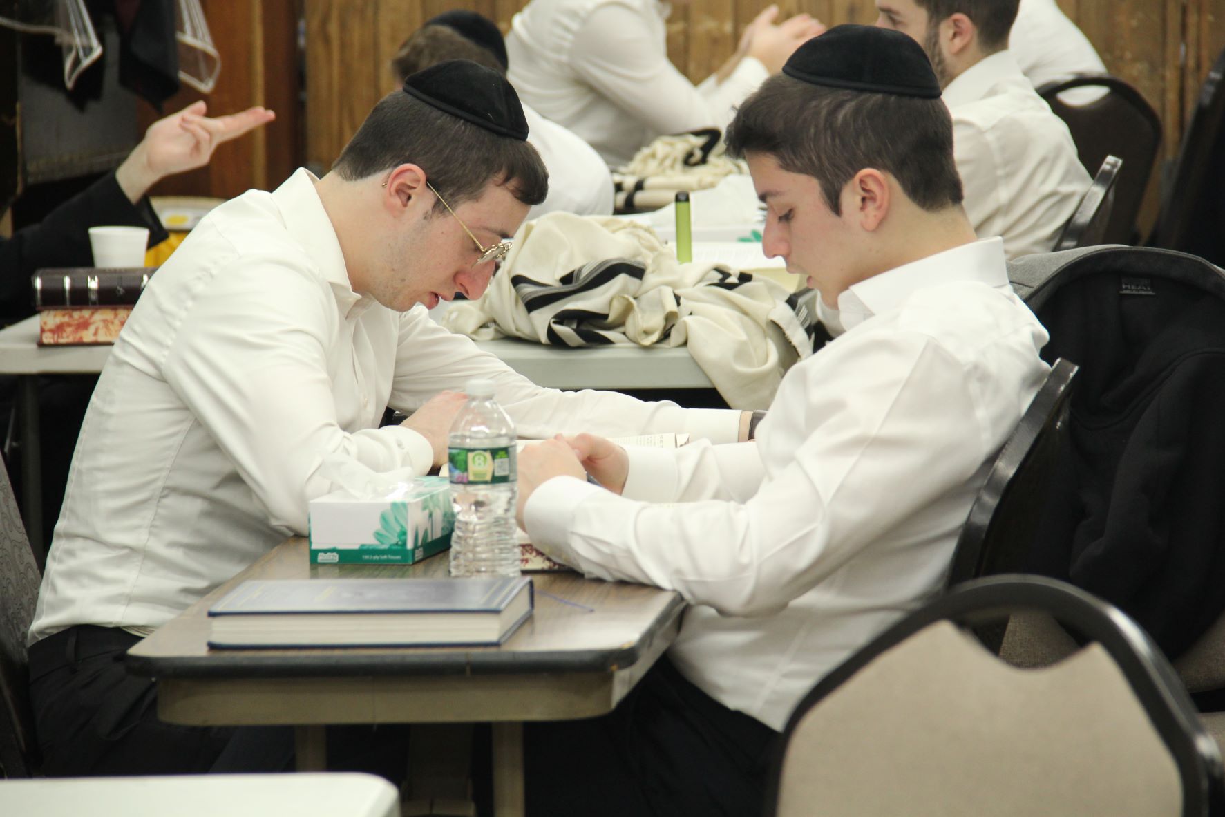 Bochurim learning b'chavrusa
